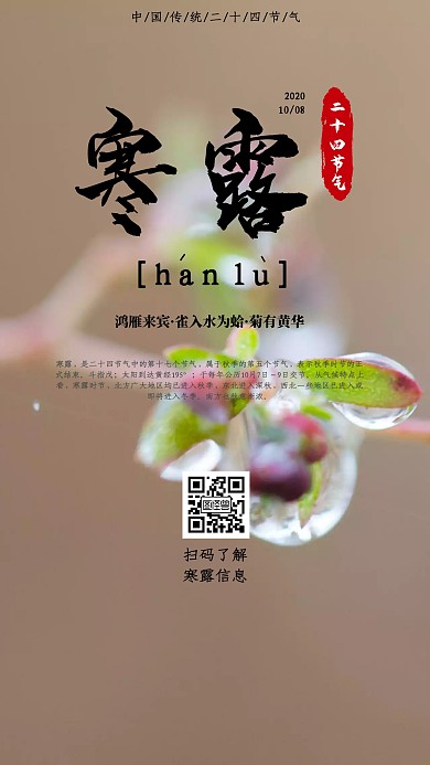 10.8寒露中国传统二十四节气海报