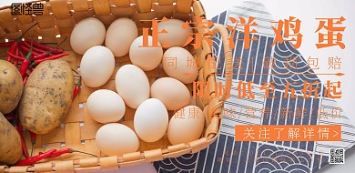 洋鸡蛋横图简约宣传海报