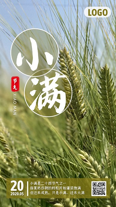简约小满传统节气问候日签