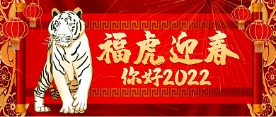你好2022虎年春节新年节日喜庆手机海报