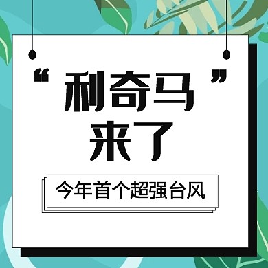 黄色台风预警公众号次图