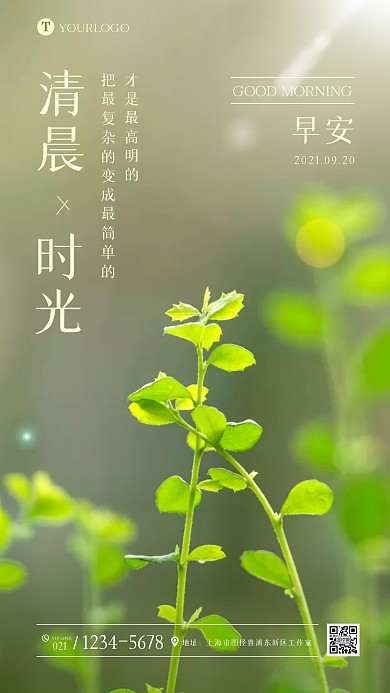 早安小清新植物励志日签问候摄影图海报