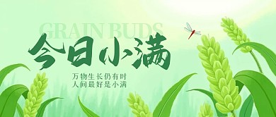小满节气小麦插画公众号首图