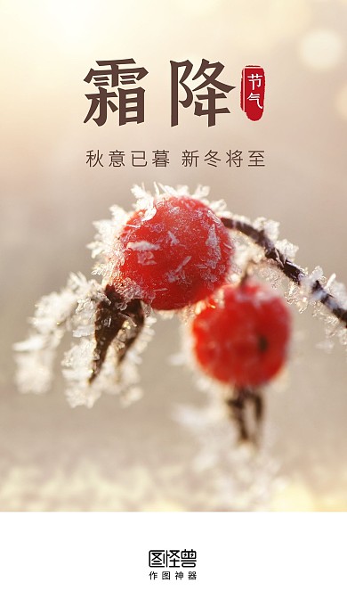 霜降节气实景简约启动页