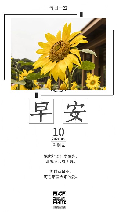 励志向日葵白色简约日签
