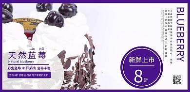 野生蓝莓促销