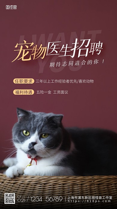宠物医生招聘红色摄影图手机海报