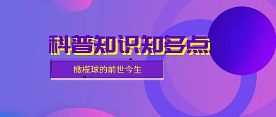 超级碗橄榄球科普蓝紫色几何手机海报
