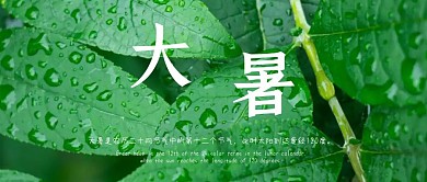 大鼠公众号封面
