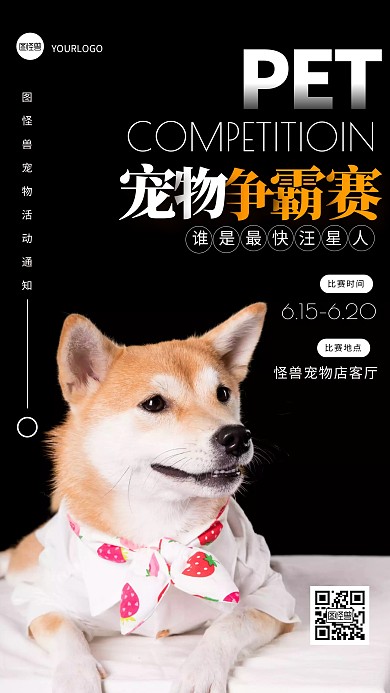 简约大气宠物比赛通知摄影图海报