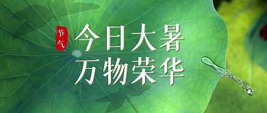 今日大暑万物荣华绿色创意公众号首图