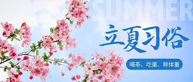 蓝色花立夏习俗公众号封面