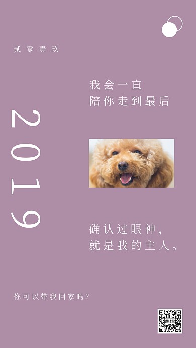 宠物泰迪狗狗简约紫色手机海报