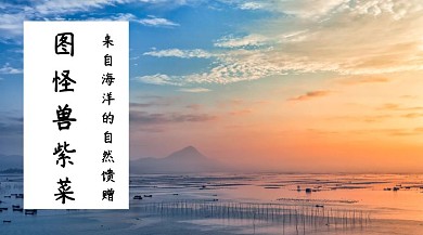 紫菜简约自然馈赠公众号封面模版