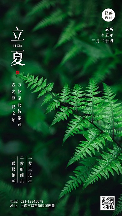 摄影风简约立夏节气手机祝福海报