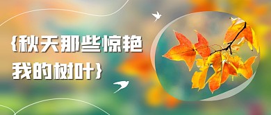 秋天那些惊艳我的树叶公众号封面首图