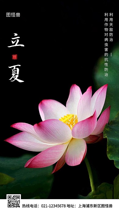 立夏治虫科普白色简约风手机海报