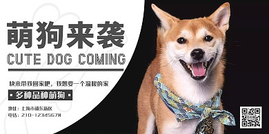 狗狗大气黑色萌狗宣传横版海报