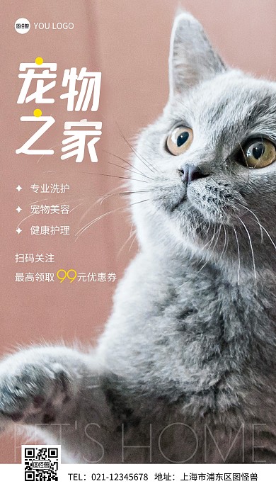 宠物店扫码领取优惠券摄影图手机营销海报