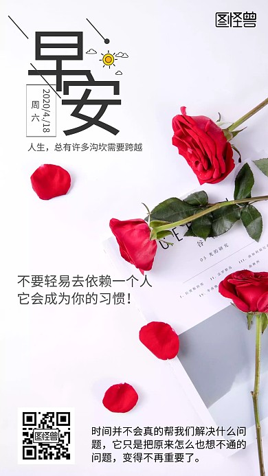 玫瑰摄影图简约早安送花日签海报