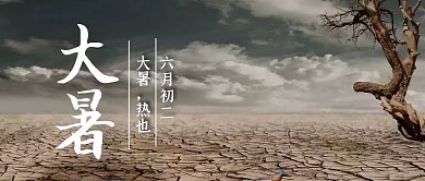 清新摄影大暑节气文化问候红包公众号首图