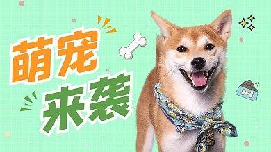创意卡通萌宠视频封面