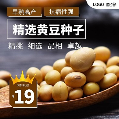 简约棕色黄豆种子电商主图直通车