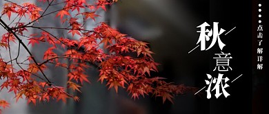 红色背景枫叶红色黑色摄影宣传公众号首图