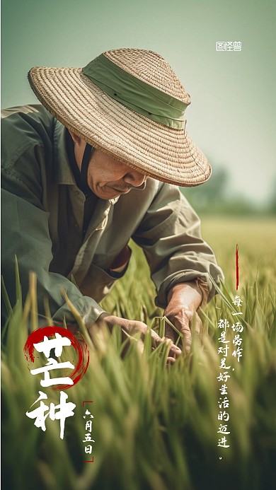 二十四节气芒种宣传摄影AIGC手机海报
