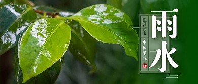雨水节气问候祝福清新摄影公众号封面首图