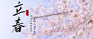 小清新 樱花粉 节气 立春 简约