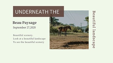 风景照片绿色小马拼图