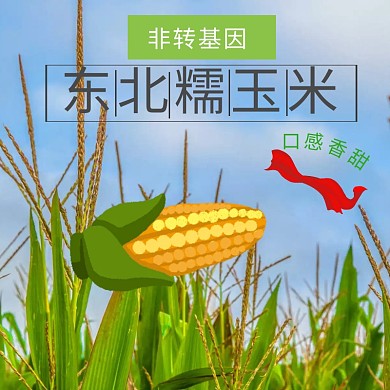 东北玉米农产品淘宝天猫主图直通车