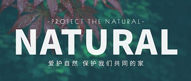 保护自然环境简约摄影公众号封面