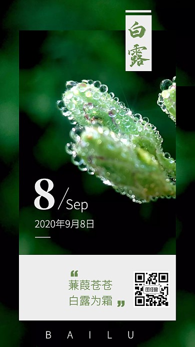 绿色简约白露节气日签