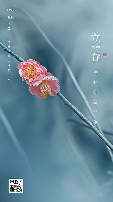 摄影图简约大气立春节气日签设计