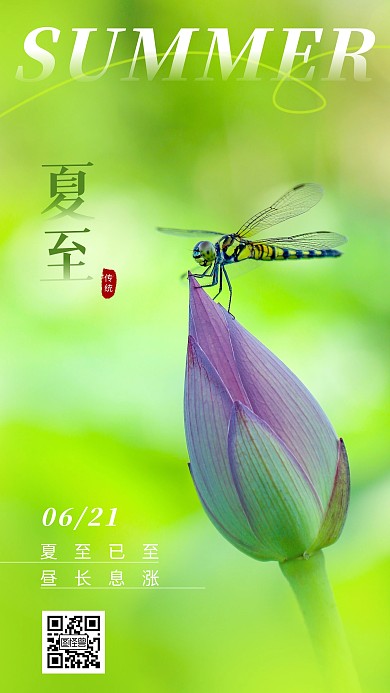 夏至传统二十四节气绿色荷花摄影图海报