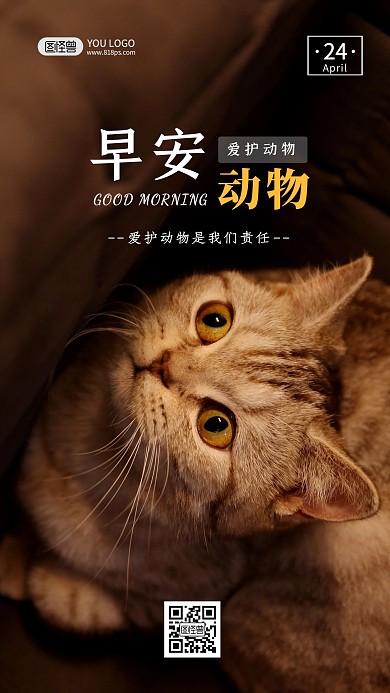 早安摄影简约创意大气日签