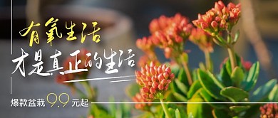 爆款盆栽有氧生活公众号封面首图