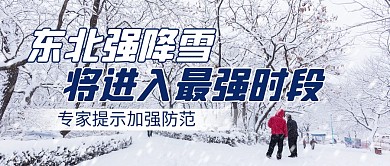 东北强降雪将进入最强时段公众号首图