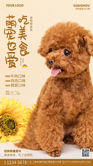宠物店产品介绍海报宠物美食促销摄影图海报