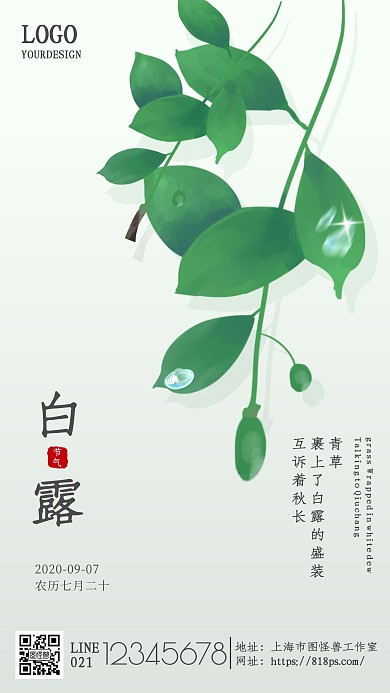 简约植物白露商业宣传海报