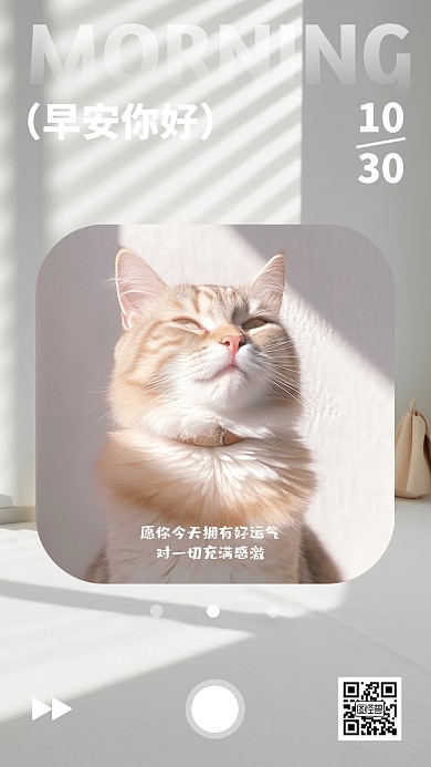 早安可爱猫咪日签手机海报