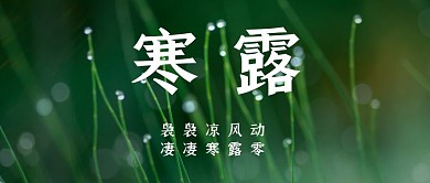 绿色露珠寒露节气公众号封面首图