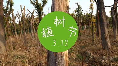 绿色卡通植树节植物红包公众号封面