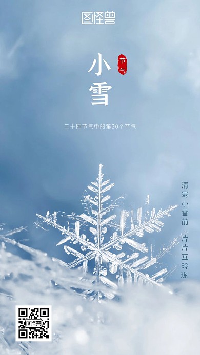 二十四节气之小雪手机摄影图海报