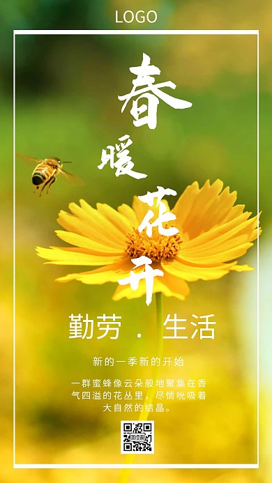 白色小雏菊黄色蜜蜂背景制作手机海报