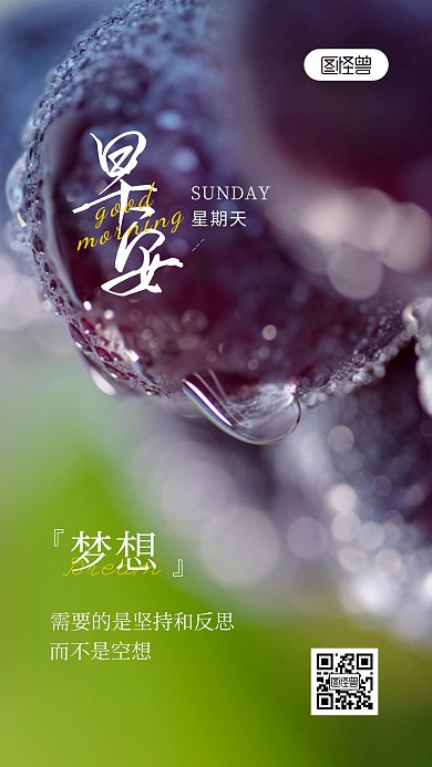 早安励志语录简约风摄影图海报