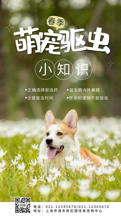 宠物春季驱虫小知识简约绿色摄影手机海报