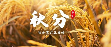 秋分养生稻谷丰收简约时尚红包公众号首图